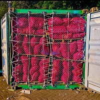 Pengiriman bawang merah tujuan Timika